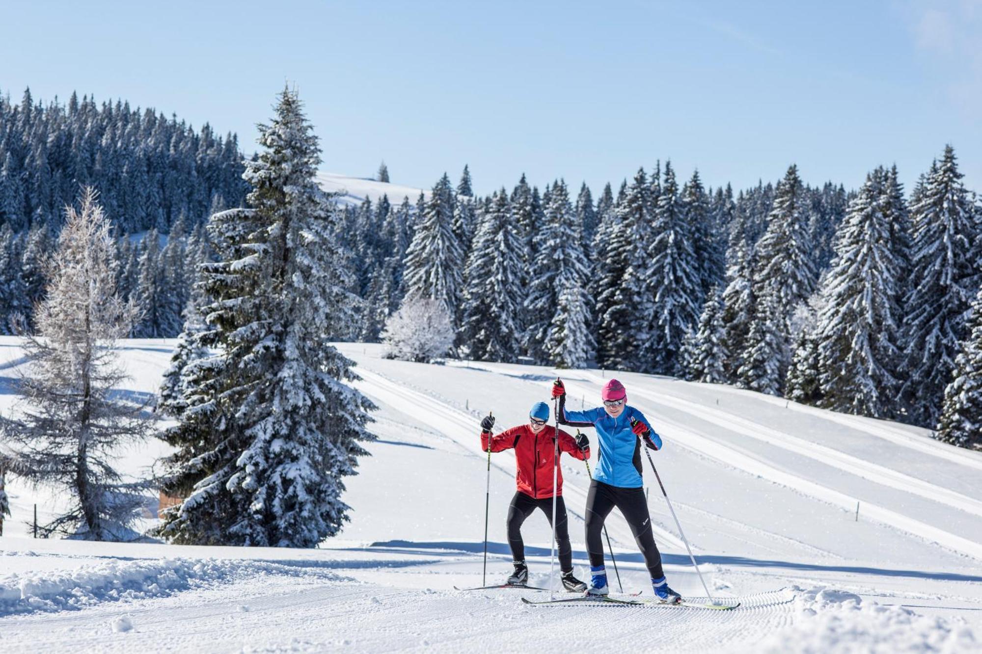 Ferienwohnung Schneelehner, 2-Schlafzimmer, Feldberg Feldberg  Eksteriør billede
